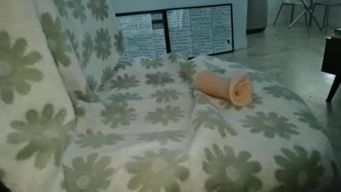 Snapshot of werethesmiths chatting on April 2026 10:03:01 PM Frank and Barbie online show from April 2026 10:03:01 PM