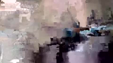 WeSoStoopid online show from February 2026 03:44:02 PM