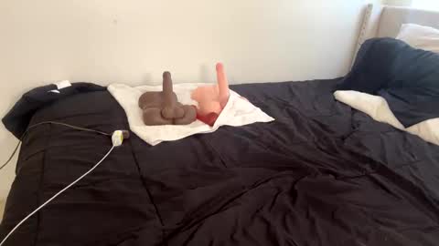 Snapshot of wetcreamerr chatting on November 2025 02:16:01 PM SheSquirts online show from November 2025 02:16:01 PM