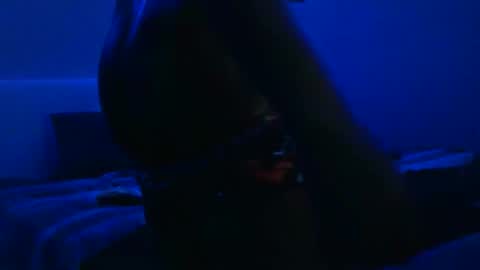 wetwildbigdick305 online show from February 2025 10:36:02 AM