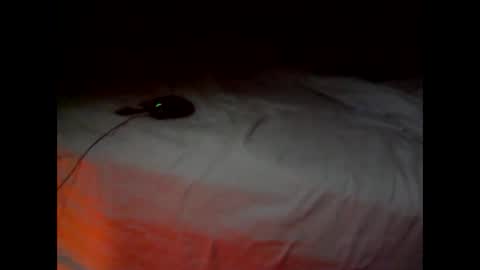 Snapshot of wgefwdtfvnlx chatting on February 2026 07:34:02 PM wgefwdtfvnlx online show from February 2026 07:34:02 PM