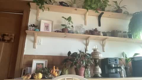 Snapshot of whiskylovexxx chatting on November 2025 04:50:01 PM WhiskyLove online show from November 2025 04:50:01 PM