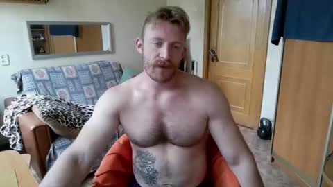 WhiteBull online show from June 2026 08:31:01 AM