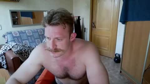 WhiteBull online show from June 2026 02:40:02 PM