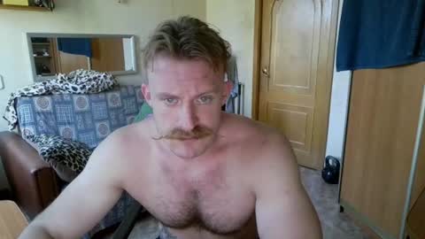 WhiteBull online show from July 2026 09:57:02 AM