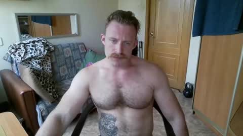 WhiteBull online show from August 2026 09:08:01 AM