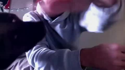 just  str8 stud nut  1000 online show from January 2025 06:38:02 PM