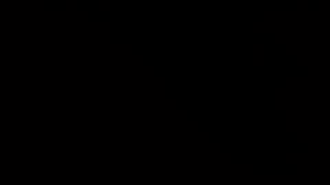 whitehead_lion online show from January 2025 06:56:02 AM