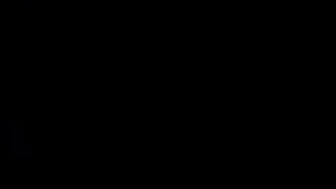 whitehead_lion online show from February 2025 05:40:01 AM