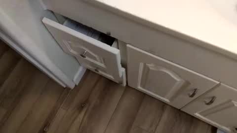 whitelava_4u online show from February 2026 11:56:02 PM