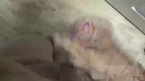 whitelava_4u online show from May 2026 03:53:02 PM