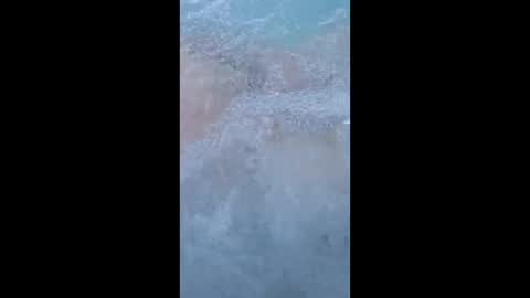 whiteoak19522 online show from March 2026 11:32:01 AM