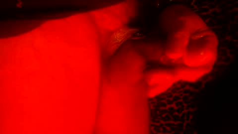 whor4mor online show from January 2025 11:25:01 AM