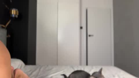 Snapshot of why_____not chatting on October 2025 04:14:02 PM Alice online show from October 2025 04:14:02 PM