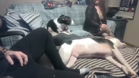 whynotforfun1 online show from January 2025 01:10:01 AM