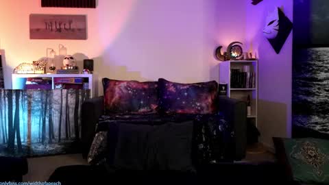 Snapshot of widthofapeach chatting on February 2025 12:46:01 AM Gretchen Jimmy online show from February 2025 12:46:01 AM