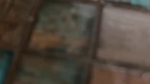 Snapshot of wievin chatting on February 2026 10:19:02 AM VI online show from February 2026 10:19:02 AM