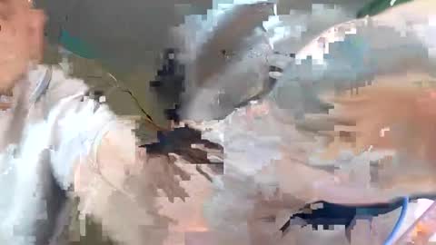 WikiBitch online show from October 2025 09:25:02 PM