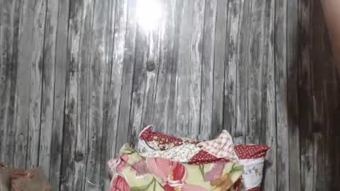 Snapshot of wild_ass_zessa chatting on November 2025 12:07:01 PM wild_ass_zessa online show from November 2025 12:07:01 PM