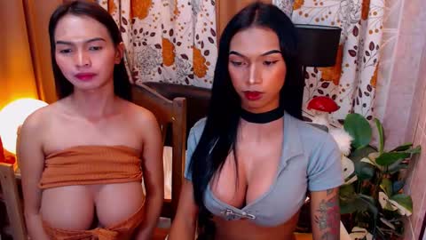 Snapshot of wildara chatting on February 2025 02:26:01 AM wildara online show from February 2025 02:26:01 AM