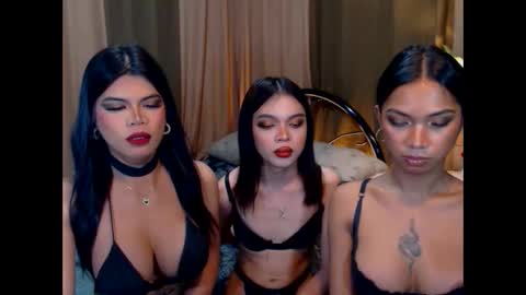 Snapshot of wildara chatting on October 2025 10:59:01 AM wildara online show from October 2025 10:59:01 AM