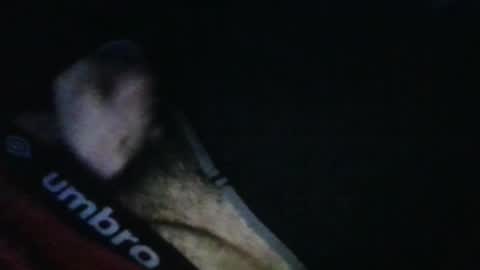 Snapshot of wildealexyz chatting on October 2025 11:46:02 AM WildeAlex online show from October 2025 11:46:02 AM