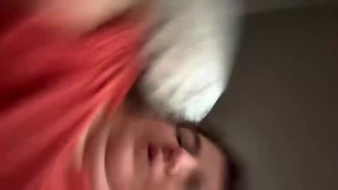 Snapshot of wildforlife88 chatting on January 2025 02:06:01 PM Wildforlife online show from January 2025 02:06:01 PM