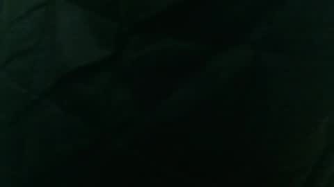 wildinwest online show from February 2026 07:34:01 AM