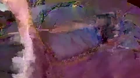 bobby banks online show from February 2026 05:02:01 PM