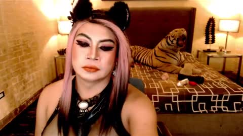 wildtransjhade online show from January 2025 12:53:01 PM