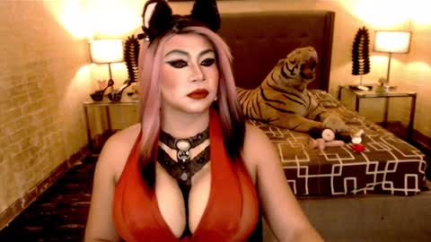wildtransjhade online show from January 2025 06:32:01 PM