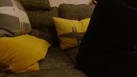 wildwills online show from May 2026 10:37:02 PM