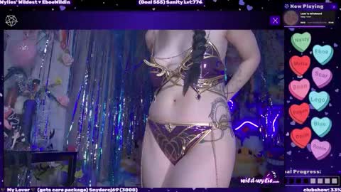 Snapshot of wildwylie chatting on February 2026 05:29:01 AM Wylie Wanderlust online show from February 2026 05:29:01 AM