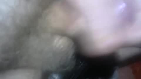 willcam22 online show from April 2026 03:08:01 PM