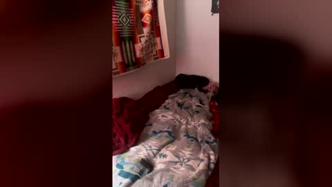 Ville Lohner online show from February 2026 05:12:02 AM