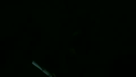 Willhedoher online show from September 2025 11:43:01 AM