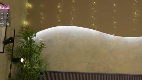 Ms Willow online show from January 2026 11:49:01 AM