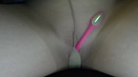 Snapshot of willowatwork chatting on February 2026 06:03:02 PM Willow online show from February 2026 06:03:02 PM