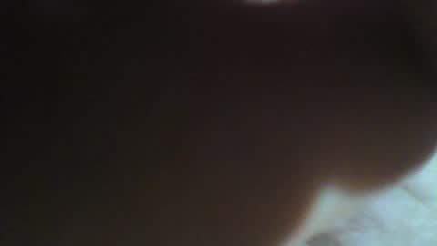 Willy Stroker online show from January 2025 06:49:01 PM