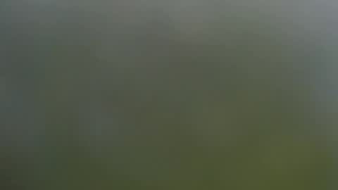 Snapshot of wisanonymousman chatting on November 2025 06:08:01 PM Wisa Randy online show from November 2025 06:08:01 PM