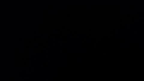 Annie online show from February 2025 09:03:02 PM