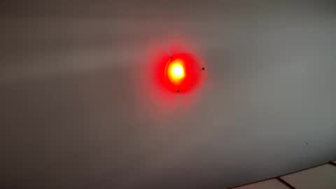 Witebull online show from September 2025 06:59:01 AM