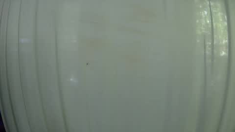 Mater online show from October 2025 07:55:01 PM