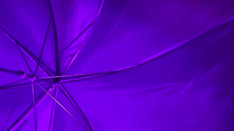 Snapshot of wizycandy_1 chatting on January 2025 05:16:02 AM Wiz and Candy online show from January 2025 05:16:02 AM