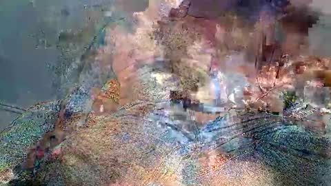 Snapshot of wolfrot chatting on February 2026 03:49:02 AM wolf boy online show from February 2026 03:49:02 AM