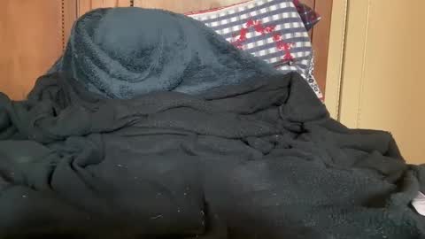 wonkywillywanks online show from January 2025 12:51:02 PM