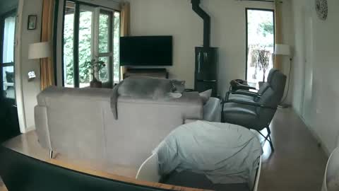 woodwurm and Snoeske online show from October 2025 07:06:01 AM