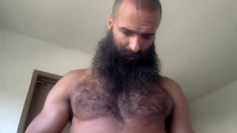 woof_wolf37 online show from May 2026 03:40:01 PM