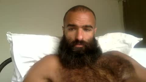 woof_wolf37 online show from May 2026 03:19:01 PM