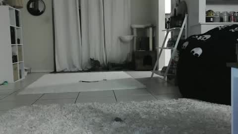 Crystal Lake online show from January 2025 09:08:01 AM